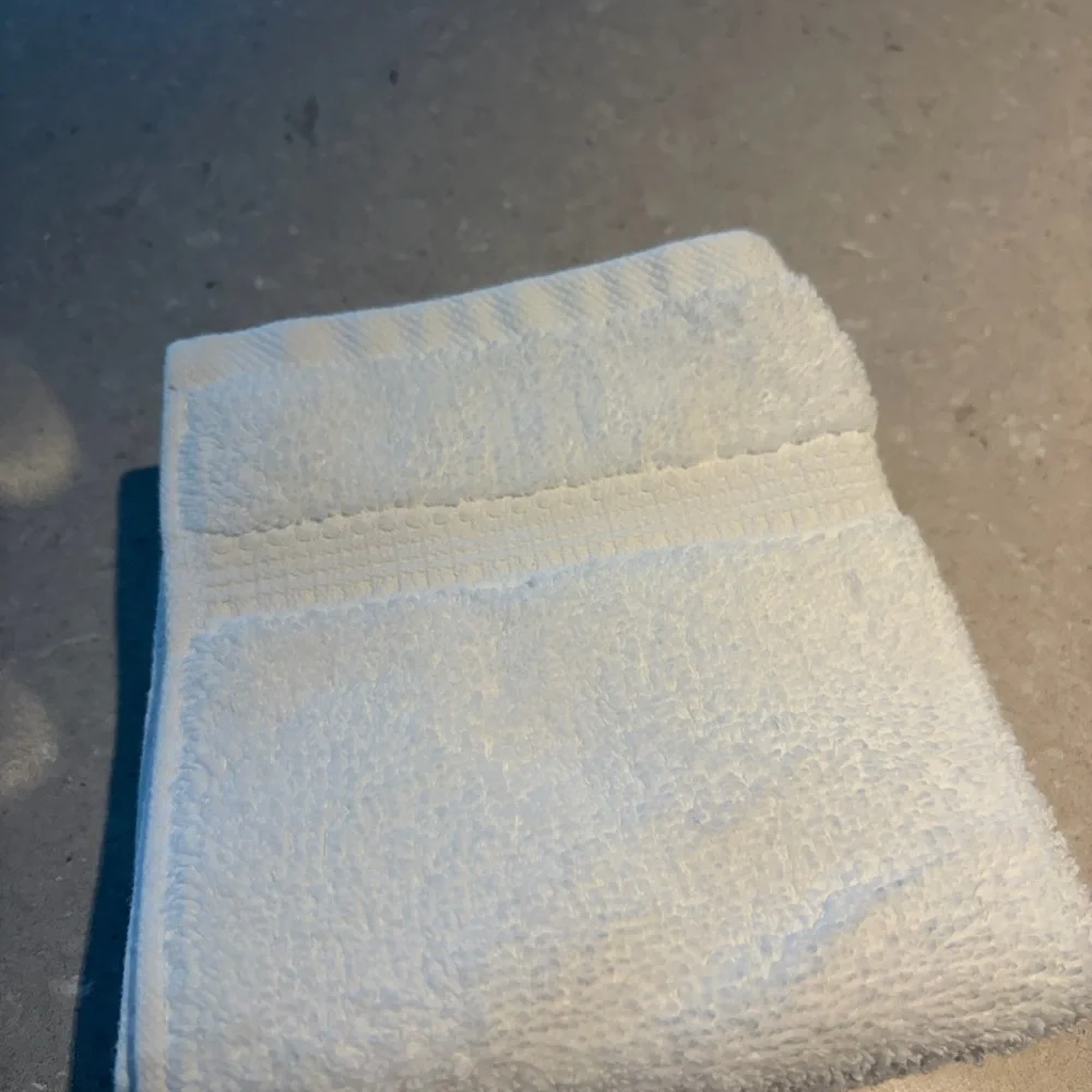 Rachel Zoe White Hand Towels (2)